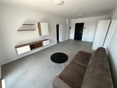 Apartament 2 camere Torontalului - Veterinary Faculty