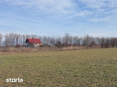 Teren intravilan 806 mp, Silistea Snagovului, Gruiu, Ilfov