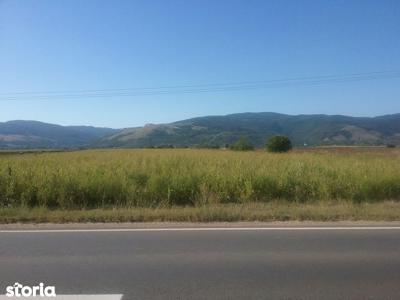 Teren intravilan, Bacainti, jud. Alba - termen 24.09