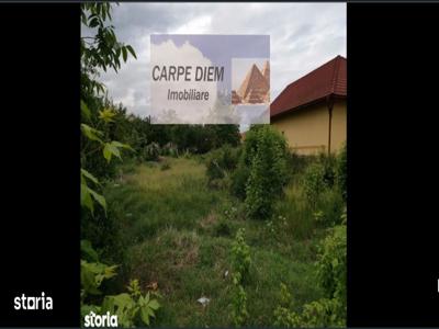 Carpe Diem Imobiliare - Teren intravilan catargiu