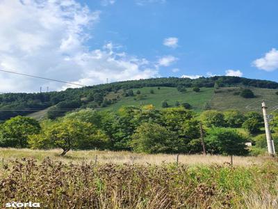 Teren Bran-Moeciu de Jos