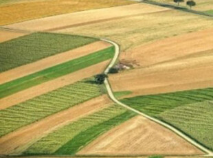 Teren agricol (arabil) 50000mp in comuna Terpezita judetul Dolj