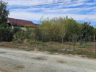 Teren Magurele, teren Magurele pe strada Florilor langa padur