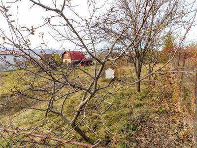 Vand teren intravilan, CF 494mp, zona Petrom Lidl, Dambul Rotund de vanzare