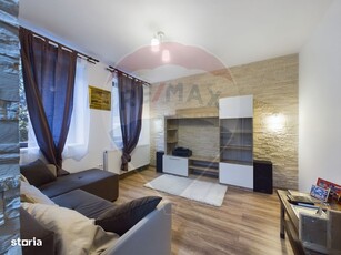 Apartament 2 camere in vila | zona Parcul Carol | curte si foisor