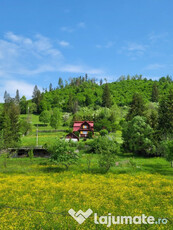 Casa de vacanta Lunca Bradului Mures