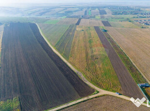 Teren 15,000mp Vorovesti / Strada Militari