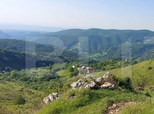 Teren extravilan pentru cabana, 3800 mp, zona-Ramet Transapuseana