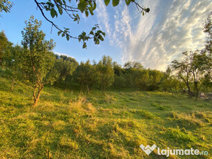 Teren in Bughea de jos, Arges, 3950mp