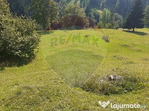 Teren Suceava / Strada Mihailet, sat Coverca, com. Panaci...