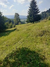 Teren zona munte langa Vatra Dornei