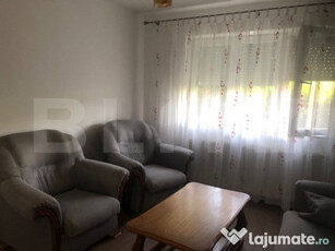 Apartament 3 camere, parter, Botizului