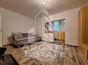 Apartament cu o camera, 41 mp utili, Micalaca