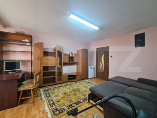 Apartament cu o camera