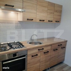 Apartament 5 camere in bloc special IPJ+curte+garaj, str Domneasca.