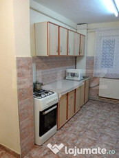 Apartament spațios pe strada Pepineriei - ideal pentru fami