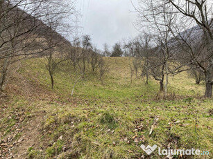 P.F. teren Lotrioara, com. Boița jud. Sibiu 2187mp