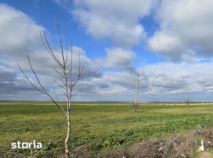 Teren 1,2 ha in Vama Veche cu deschidere direct la DN39, la 300 ml de