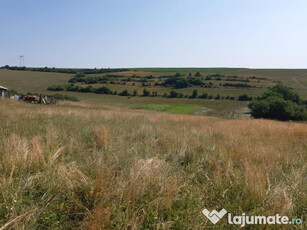 Teren 9300 mp in Rusciori la 10 km de orasul Sibiu