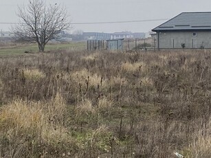 Teren Comuna Berceni, Loturi Strada Codrului Strada Codrului