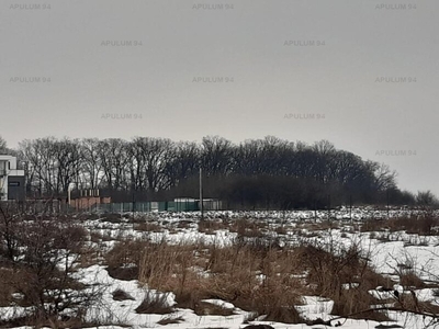 Teren Teren Corbeanca ideal dezvoltare Teren foarte bun situ