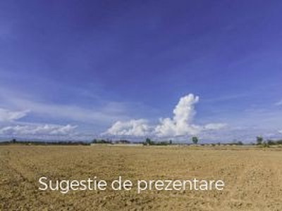 Vanzare teren agricol 0mp, Cluj-Napoca, Cluj-Napoca