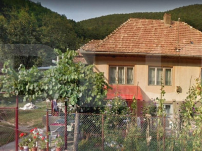 Casa Frasinet Baisoara, 100 mp utili, 1ha teren