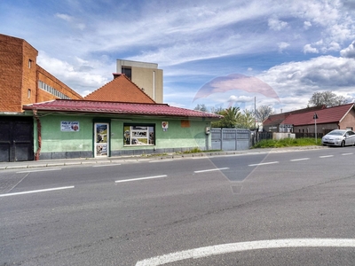 Casavila 5 camere vanzare in Brasov, Bartolomeu