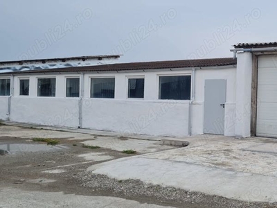 De inchiriat 3 hale langa Parcul Industrial Prejmer - 310, 390 si 740 mp direct de la proprietar