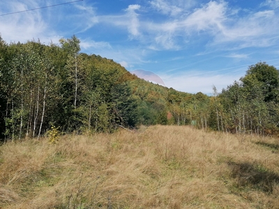 Teren Agricol, Extravilan vanzare, in Cluj, Valea Draganului