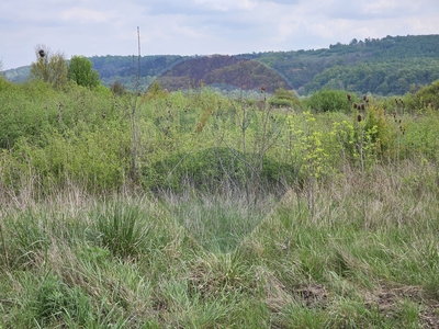 Teren Agricol, Extravilan vanzare, in Sibiu, Vestem