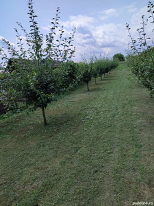 Teren intravilan în Capilna de Jos