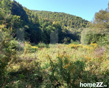 Teren intravilan in zona Valea Ierii