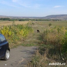 TEREN pentru case .