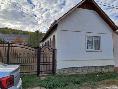 Vând casă la țară sat Mălâncrav jud Sibiu