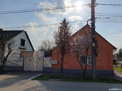 Vând casa in Timisoara