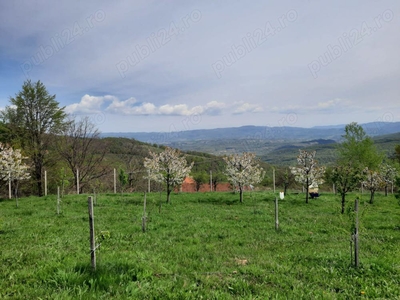 Vand livada de pomi fructiferi in zona Suncuius