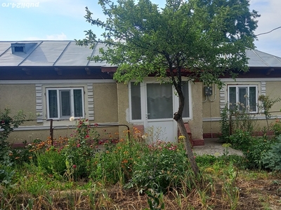 Vind casa 6 camere plus dependinte curte 3000mp in satul Plopu Oras ianca