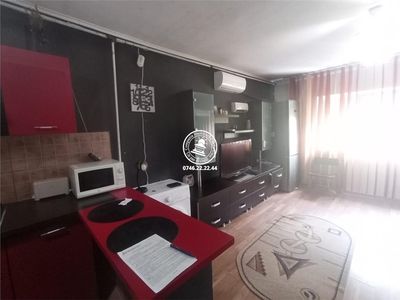 Apartament 1 camera de vanzare Visani