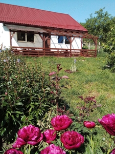 Casa 90 mp din 2019 cu livada și vie, la 45 min de Cluj