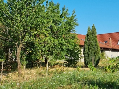 Casa Pensiune in Viile Satu Mare teren 1,63 ha ( ID 22489 )