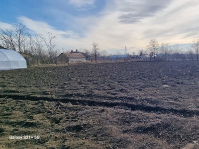 Teren intravilan 4000 mp, sat Rogojeni, jud. Galati