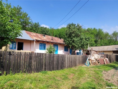 Vând casă la țară în județul Vaslui, comuna Puiești (Satul vechi)