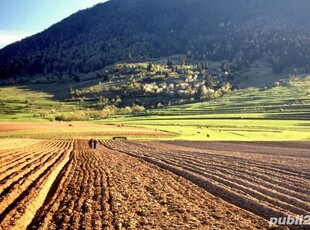 Vand teren arabil agricol Adancata Ialomita