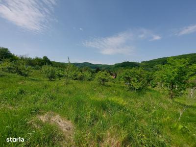 Teren 9000 mp într-o zonă pitorească, înconjurată de pădure