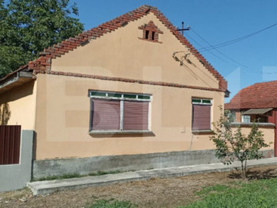 Casă cu curte, în localitatea Jupani