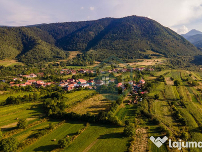 Proprietate de 1 ha la poalele Muntilor Retezat, Nucsoara...