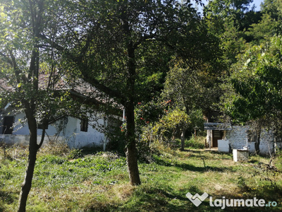 Teren intravilan 5984mp si casa in orasul Baia de Arama