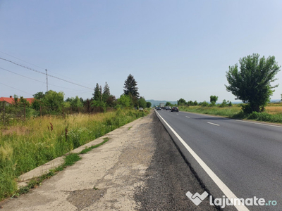 Teren intravilan în Lipanesti, 10.000 mp