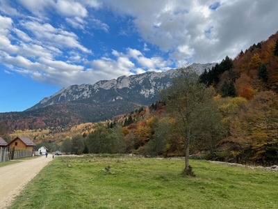 Teren Zarnesti, Piatra Craiului